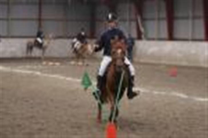 Anden særlig race Lucky Boy - Pony-games <3 - Flagstafet ... :D billede 5