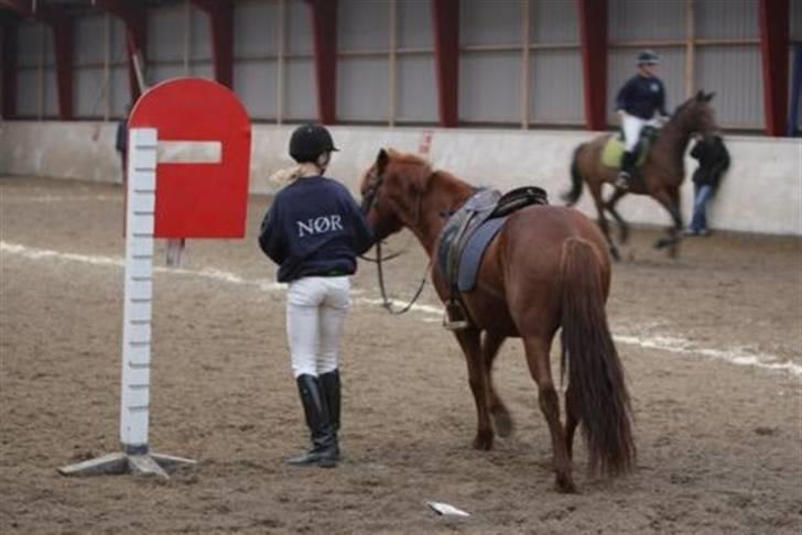 Anden særlig race Lucky Boy - Pony-Games - Postkasse<3 :P billede 6