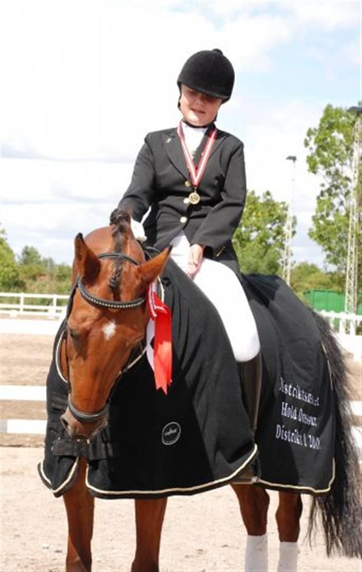 Anden særlig race Lucas ( aflivet) - vi vandt. juhhu hurra juhuuu yes i Distriksmesterskabet for hold.  billede 4