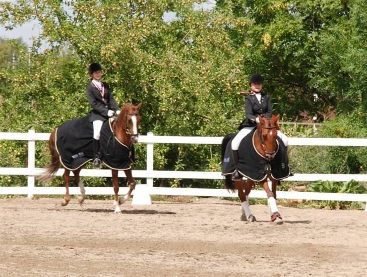 Anden særlig race Lucas ( aflivet) - Juubbiiiiiiiii - :)  billede 6