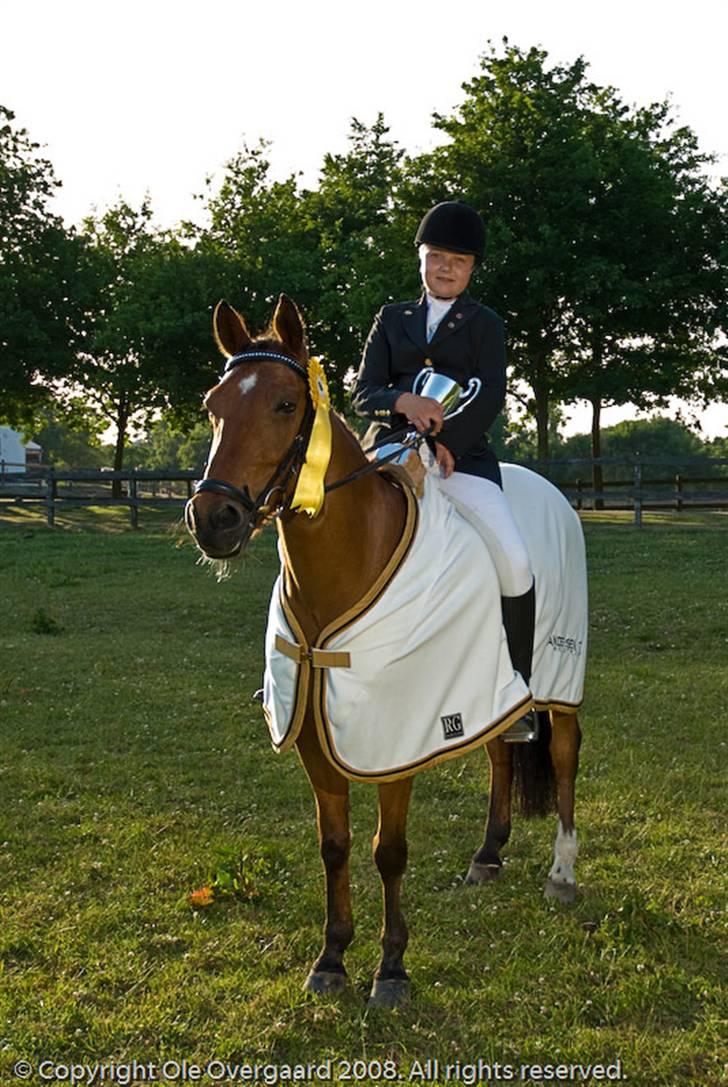 Anden særlig race Lucas ( aflivet) billede 9