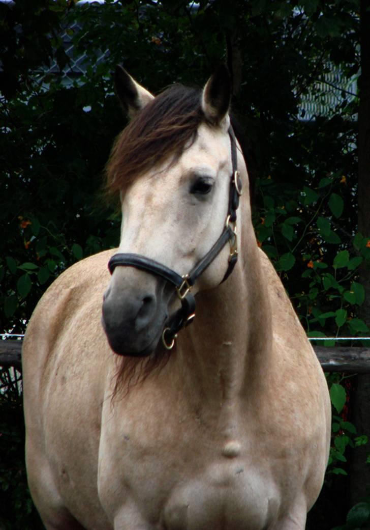 Anden særlig race Wendy - hey der ;) billede 1