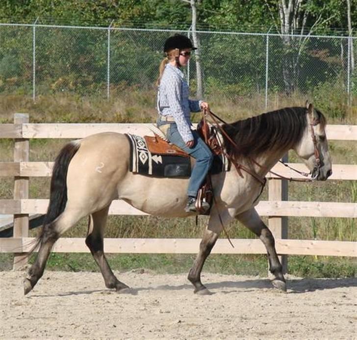 Anden særlig race Wendy billede 2