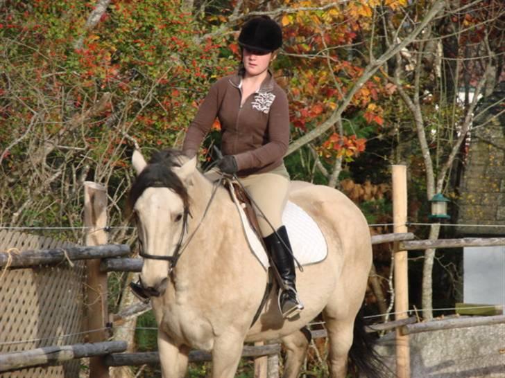 Anden særlig race Wendy billede 3