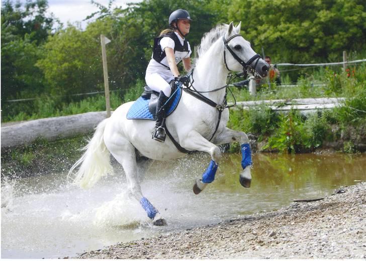 Connemara Nørlunds Cappuccino billede 3