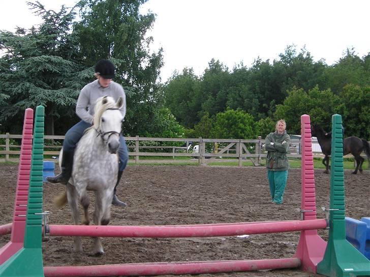 Connemara DEGNELODDENS DONNA billede 25