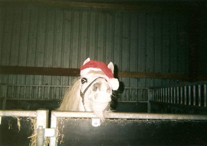 Dartmoor † Donna af stegstedgård † billede 17