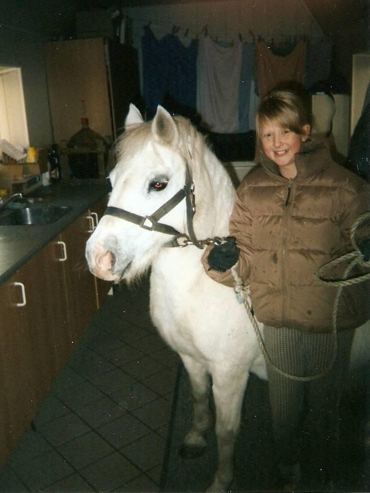 Dartmoor † Donna af stegstedgård † - Donna og jeg i vores bryggers :) billede 19