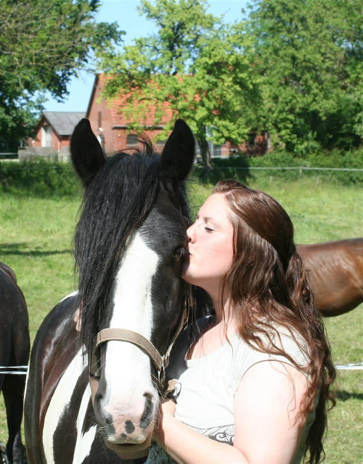 Irish Cob Troelsegaarden's MacNeal - Skøn sommerdag 2009. Mhm min dejlige basse! billede 8