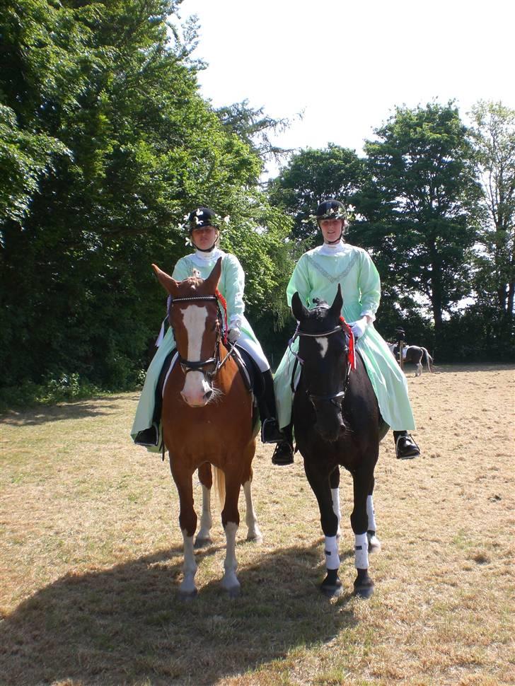 Oldenborg FREJA<3 - 1. Plads i LC- trav MLR 2008 billede 16