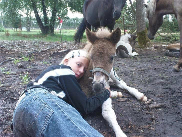 Islænder Menja - hygge og kærlighed<3<3<3 billede 11