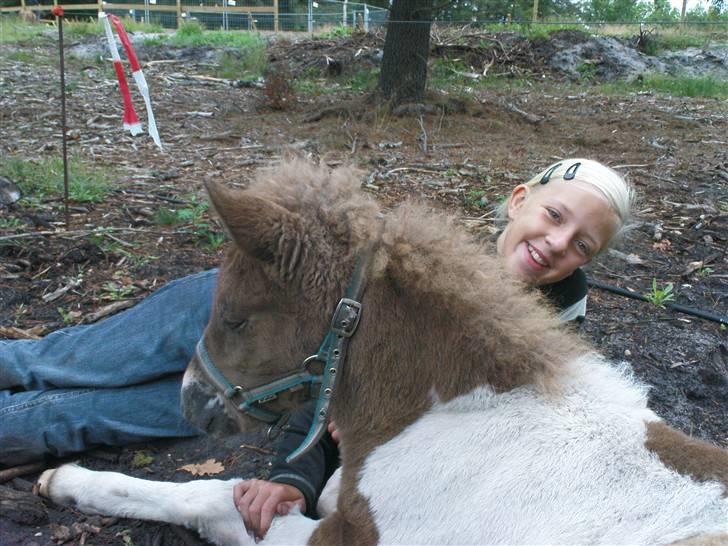 Islænder Menja - titte titte bbøøhhh billede 12