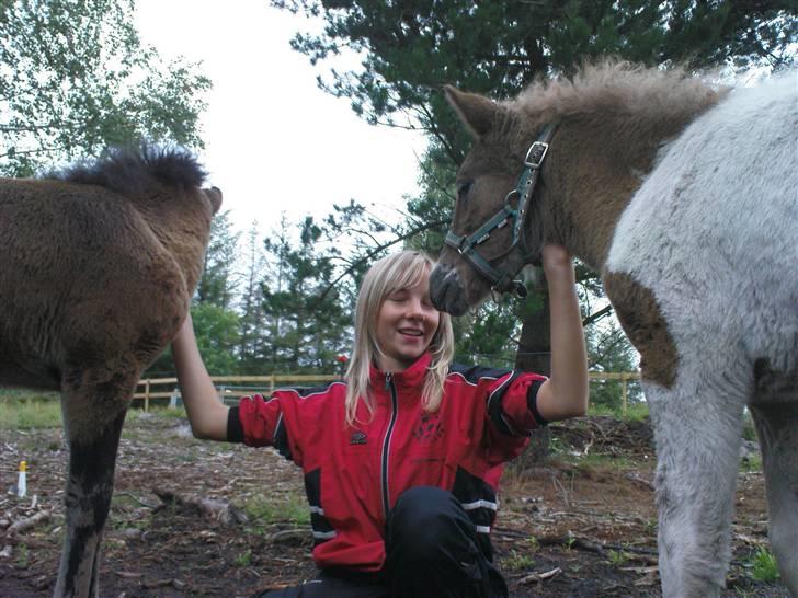 Islænder Menja - Trines kusine nuller mig og min ven nanna billede 13