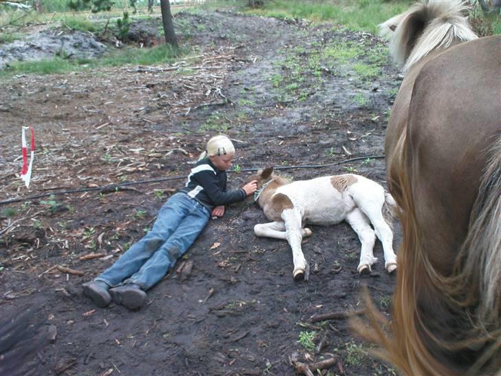 Islænder Menja - mig, Trine og Moaarr billede 14