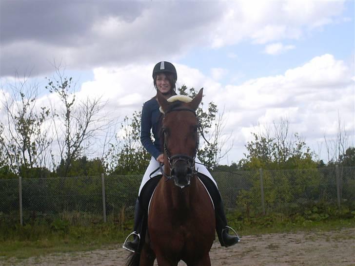 Traver Pressifon  - Lige inden pony lege(: billede 16