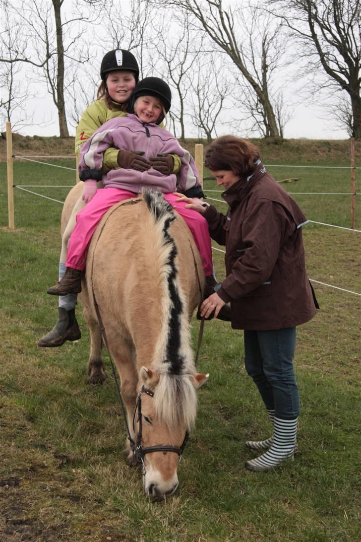 Fjordhest oliver - mig og min kusine på den smukke billede 15