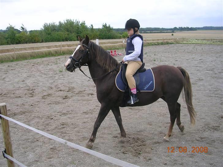 Anden særlig race Liberty  SOLGT - Nathasja & Liberty´s første ride tur Aug. 08 billede 2