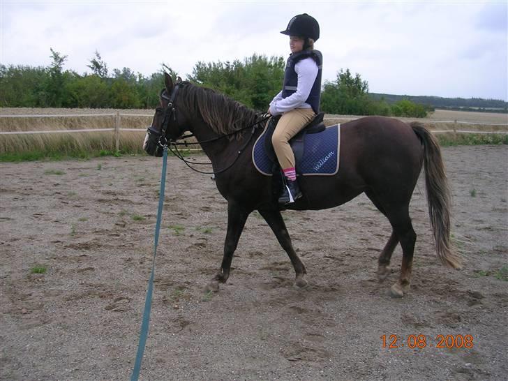 Anden særlig race Liberty  SOLGT - Nathasja & Liberty´s første ride tur Aug. 08 billede 3