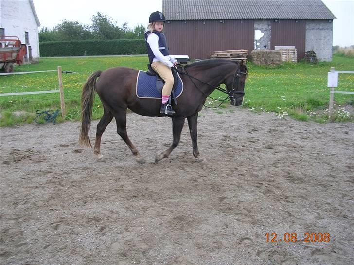 Anden særlig race Liberty  SOLGT - Nathasja & Liberty´s første ride tur Aug. 08 billede 4
