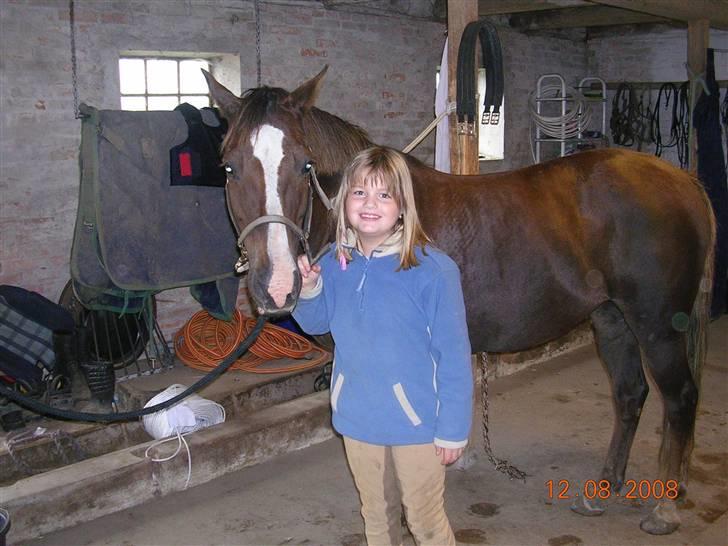 Anden særlig race Liberty  SOLGT - Nathasja & Liberty Aug. 08 billede 6