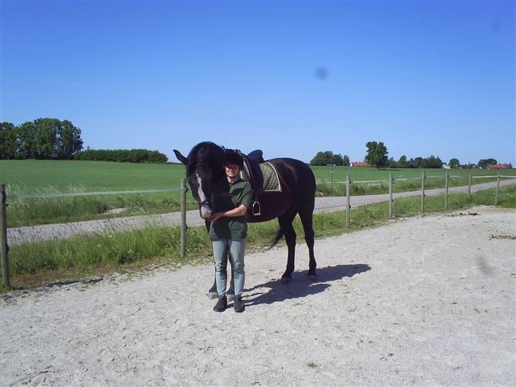 Oldenborg Drisdals Girello(solgt) - færdig med 1. ridetur juni 2008 billede 7