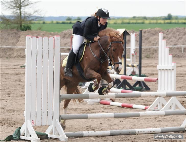 DSP Haahr's FlickaSOLGT/R.I.P - 14... Tiderne med dig skat vil ALDRIG nogen sinde blive glemt, jeg elsker dig glem det aldrig!:S<3 jeg savner dig så meget!(L) billede 14