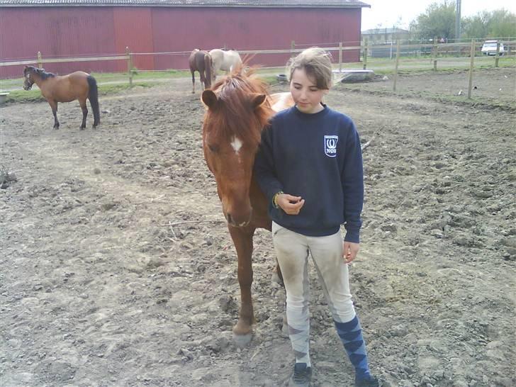 Anden særlig race Lucky Boy - Lucky og mig på folden (:  billede 10
