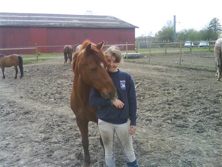 Anden særlig race Lucky Boy - Han sku´ lige tælle mine armbånd<3 billede 13