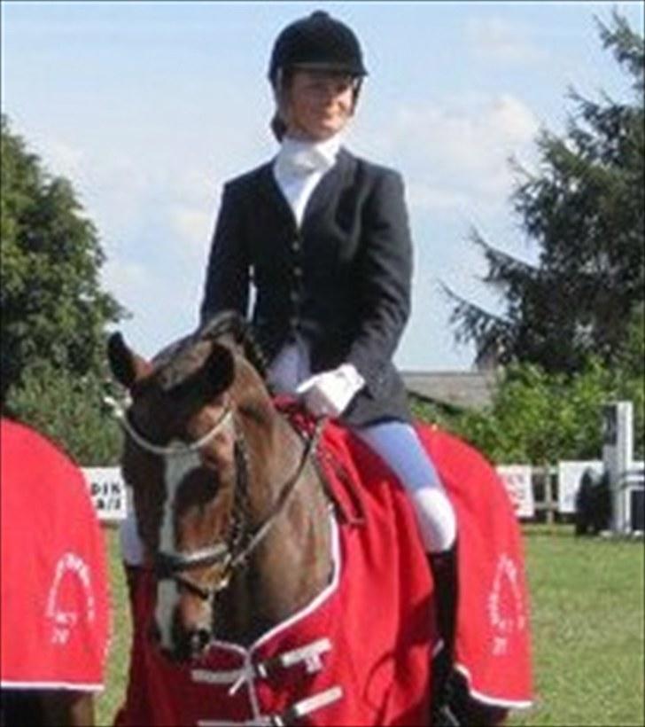 Dansk Varmblod Leopold - Leopold <3 billede 1