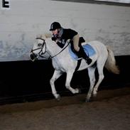 New Forest sofus - gammel part