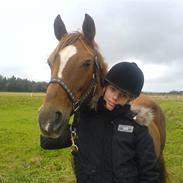 Anden særlig race Chipper <3 