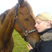 Anden særlig race Chipper <3 