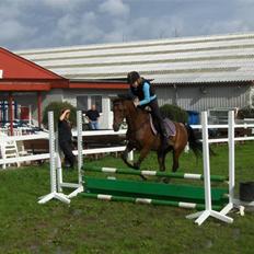 Welsh Pony (sec B) Leonie I LOVE YOU!(solgt)