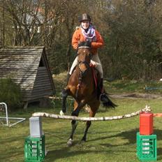 Welsh Pony (sec B) Leonie I LOVE YOU!(solgt)
