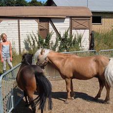 Anden særlig race Dunlet(har redet)<3<'3<3