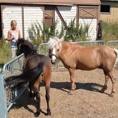 Anden særlig race Dunlet(har redet)<3<'3<3