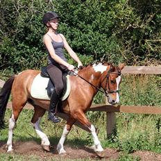 Anden særlig race Shrek