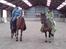 New Forest Fnuggi