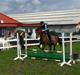 Welsh Pony (sec B) Leonie I LOVE YOU!(solgt)