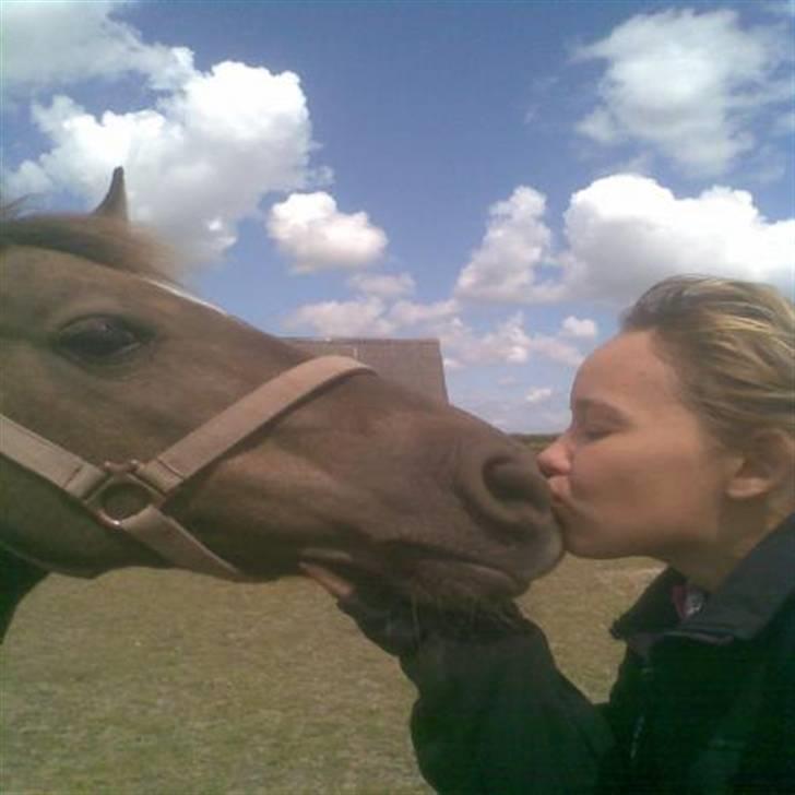 Anden særlig race  Randa  billede 6