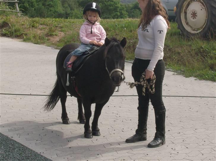 Shetlænder Lyngholm´s Saga R.I.P † - Anden gang Nikoline var ude og ride Saga:) hun elsker den hest:) billede 15