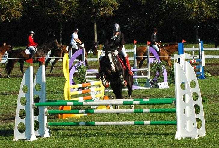 Holstener Prior's Maluta *SOULMATE* R.I.P 15/09/2011 - Fordi vi kan alt sammen <3 billede 12