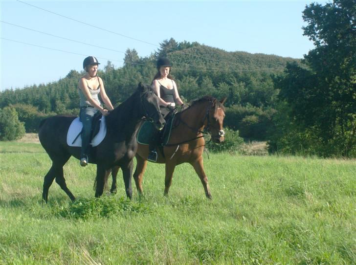 Traver In Ger Solgt - Fie på In Ger og mig på Anton billede 3