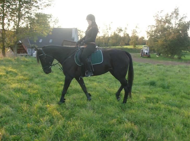 Traver In Ger Solgt - Så smuk:) billede 7