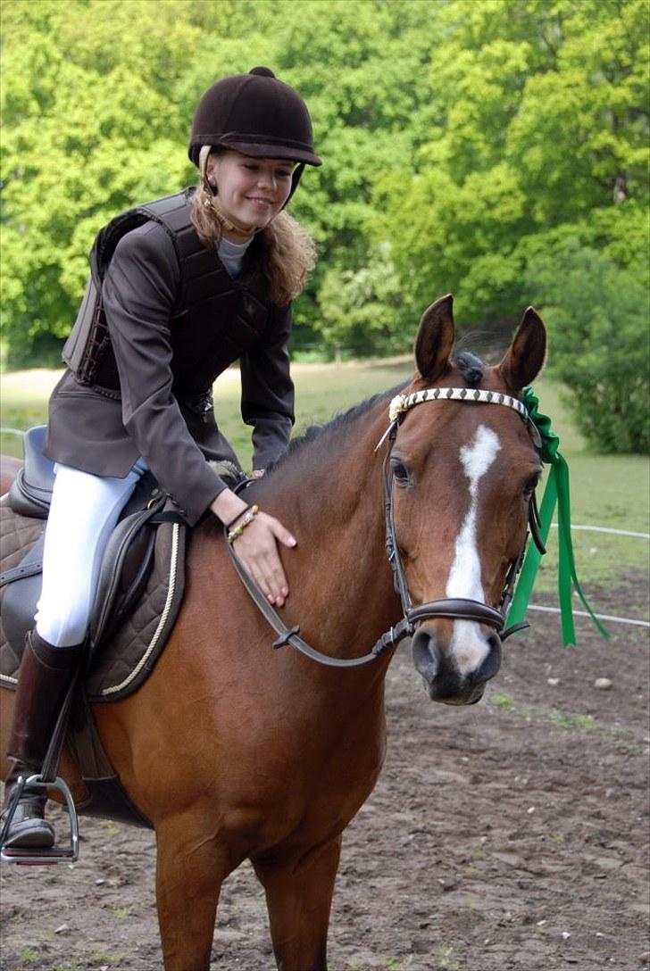 Anden særlig race Foxy Lady - diskriktstævne på egene. nr. 4 lb billede 12