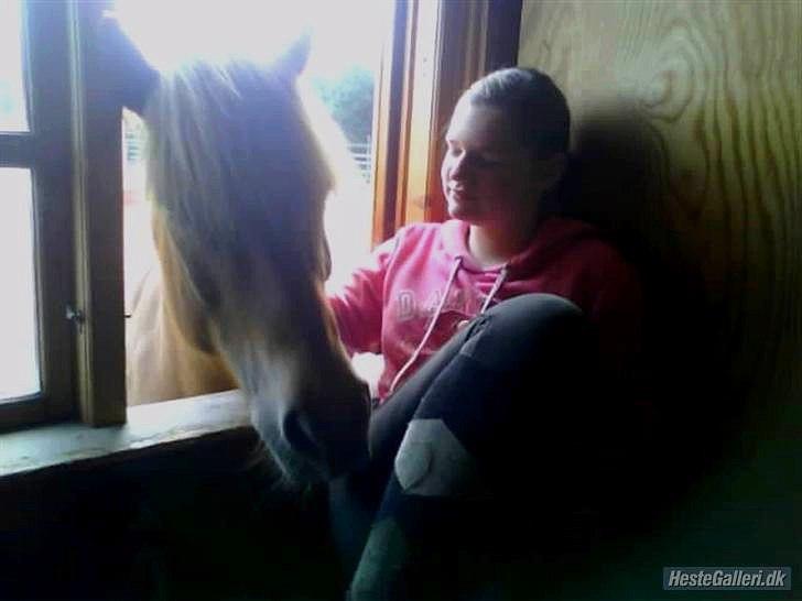 Islænder Dagur-RIP †3/8-10† - I will always love you! <3 billede 10