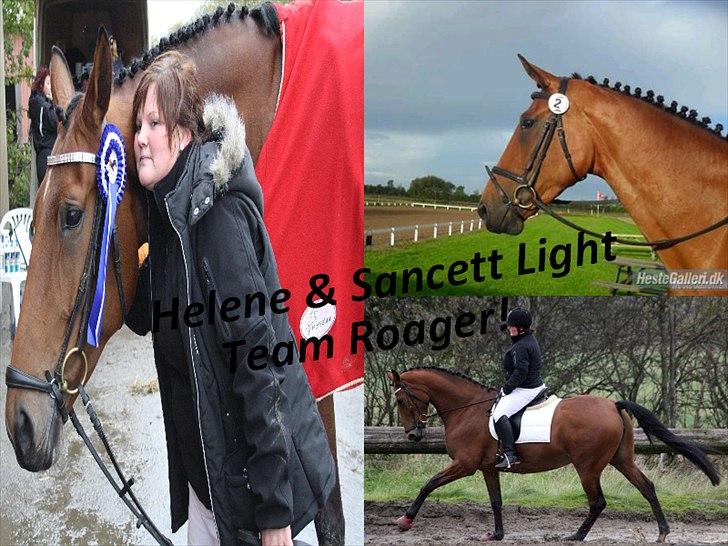 Dansk Varmblod Kibgårdens Sancett Light -solgt:( billede 7