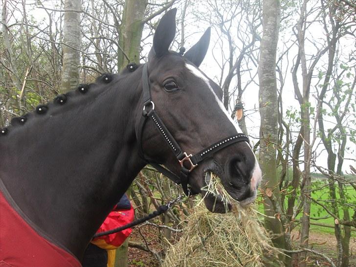 Anden særlig race DONNA - BABY <3 REDET - MIN DYGTIGE BABY :-* ...... billede 1