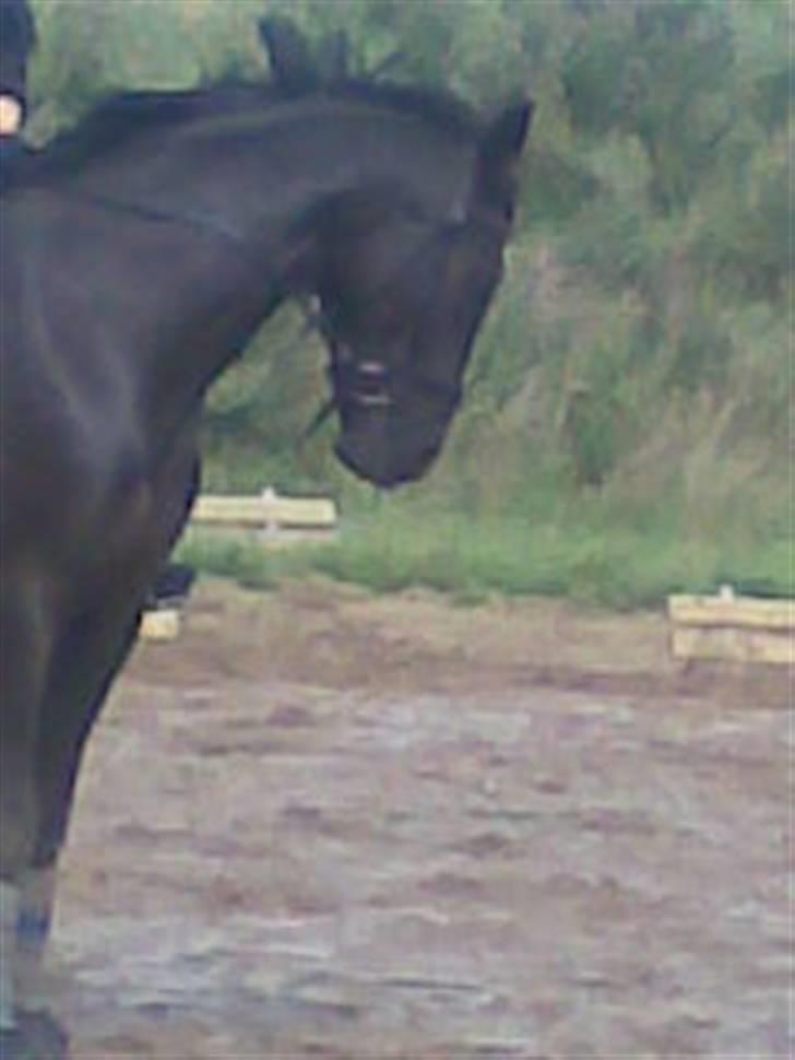 Anden særlig race DONNA - BABY <3 REDET billede 3