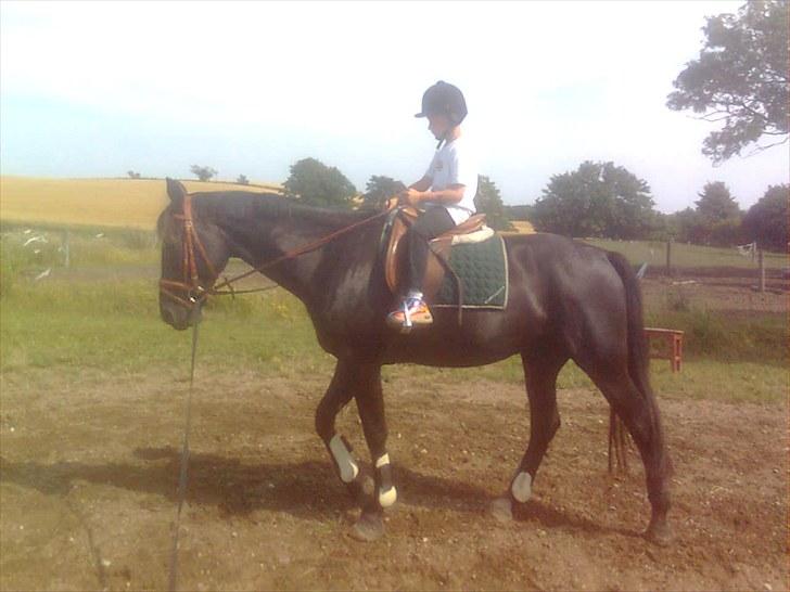 Oldenborg Okholms Makker  billede 14